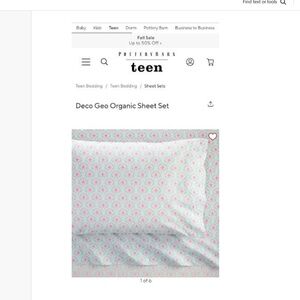 Pottery Barn Teen - Deco Geo Organic Sheet Set- Size Full